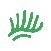 Designer de Sobrancelhas